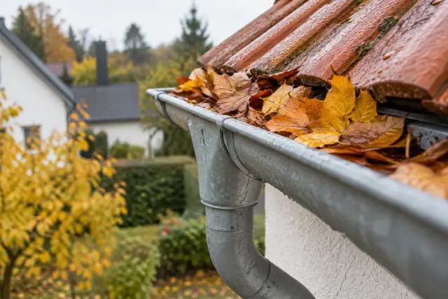 Herbstlaub in einer Regenrinne am Ziegeldach mit angeschlossenem Fallrohr